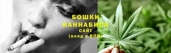 PSILOCYBIN Алексеевка