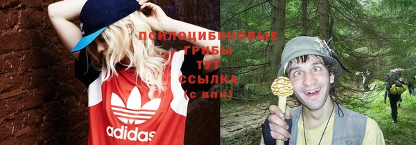 дживик Алзамай