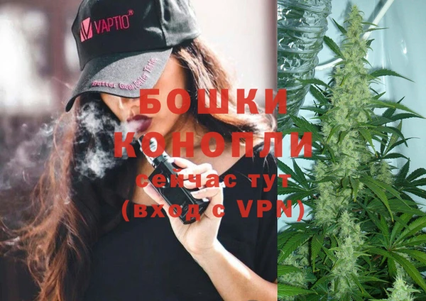 PSILOCYBIN Алексеевка