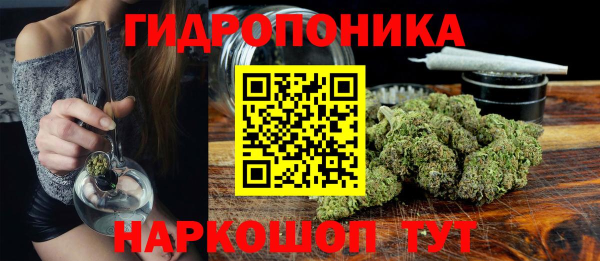 Канабис ГИДРОПОН Узловая